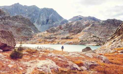 náhledový obrázek kurzu